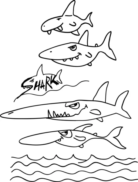 Coloration du requin — Image vectorielle