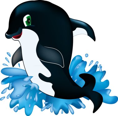 Orca whale clipart