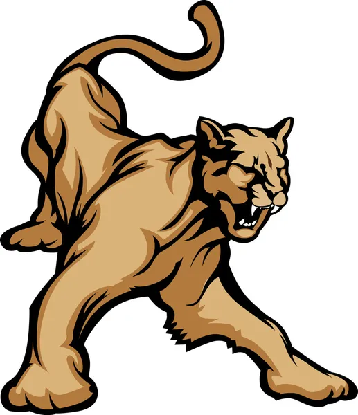 Cougar mascote corpo vetor ilustração — Vetor de Stock