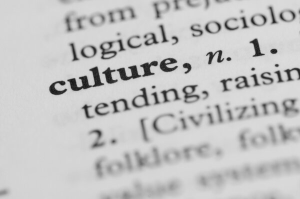 Dictionary Series - Culture