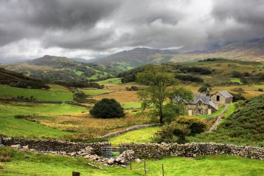 Welsh mountain farmland scene clipart