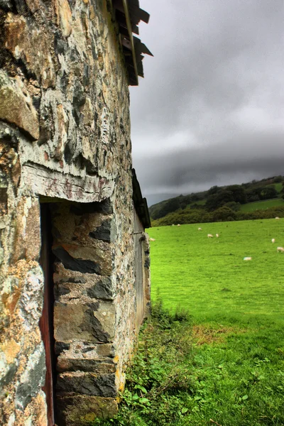 Velho celeiro arruinado desusado no País de Gales — Fotografia de Stock