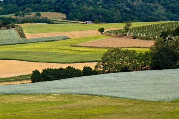 Felder, Weinberge, Wald & Wiesen grüne Schichten — Stockfoto