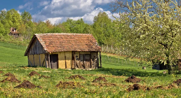 Vårsynet på den gamle tradisjonelle hytta. – stockfoto