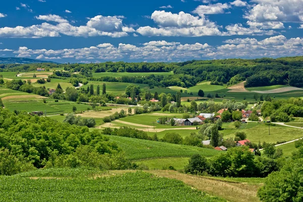 Красивый зеленый пейзаж в весеннее время — стоковое фото