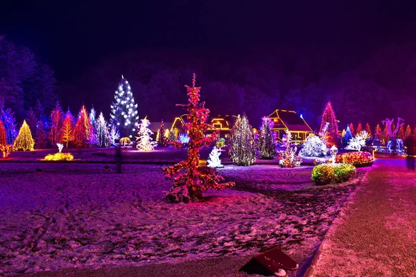 Christmas lights in town park - fantasy colors — Stock Photo, Image