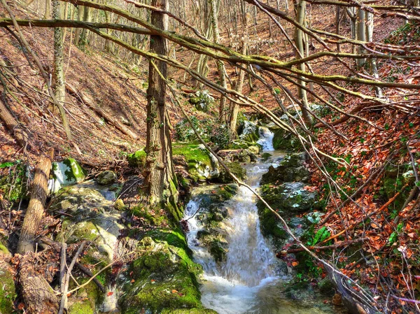 Spätwinter schöner Gebirgsbach - bunte Natur — Stockfoto
