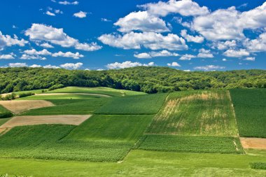 Beautiful green scenery landscape in spring time IV clipart