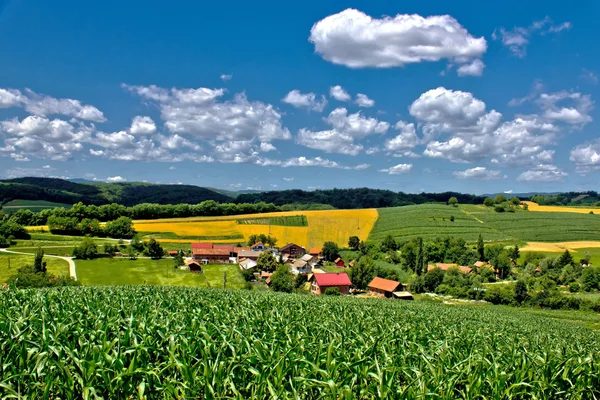 Beautiful green village scenery landscape in spring time III — Stock Photo, Image