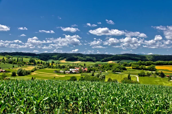 Schöne grüne Landschaft Landschaft im Frühling — Stockfoto