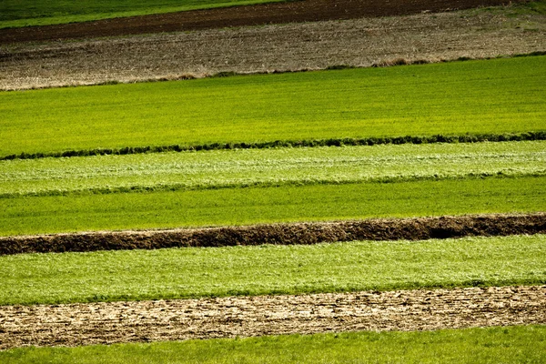 图层-农业领域和草甸 — 图库照片