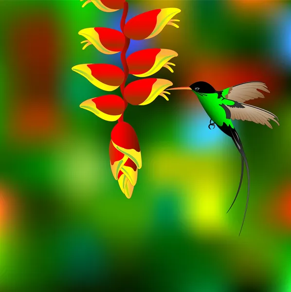 Flor con colibrí . — Archivo Imágenes Vectoriales