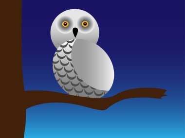 Snowy owl clipart