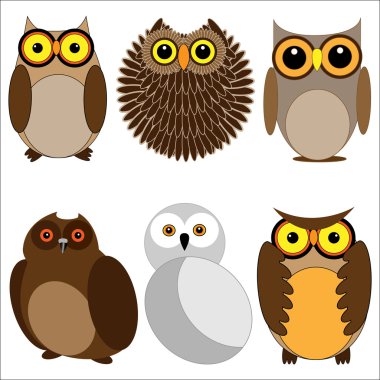 Set of different owls clipart