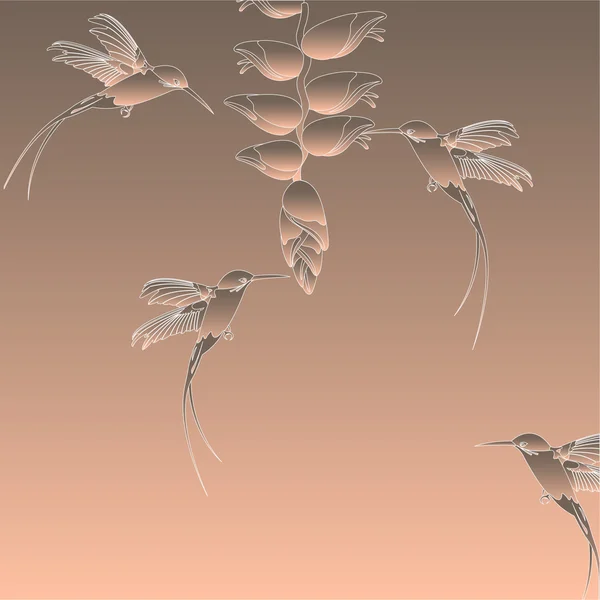 エレガントなハミング鳥 — ストックベクタ