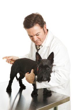Poor Doggy Gets a Shot clipart