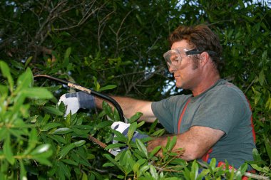 Tree Trimmer With Saw clipart