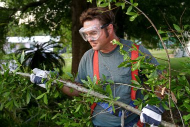 Worker Hauling Branches 1 clipart