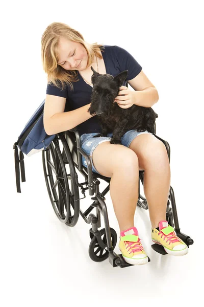 Chica con discapacidad Conforts perro —  Fotos de Stock