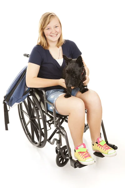 Девушка-инвалид со Скотти Догом — стоковое фото