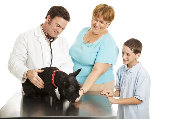 Familia en el veterinario — Foto de Stock
