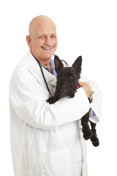 Freundlicher Tierarzt — Stockfoto