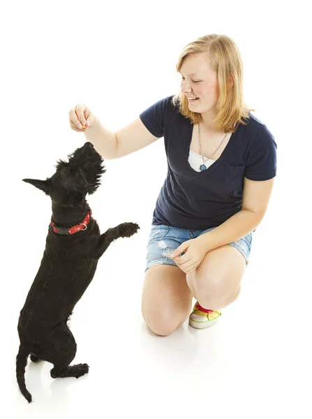 Menina e cão fazer truques — Fotografia de Stock