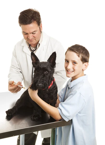 Weterynarza pies traktuje chłopców — Zdjęcie stockowe