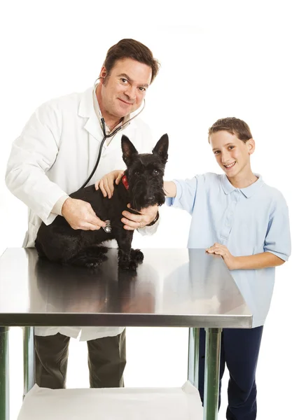 Ветеринар и ребенок с собакой — стоковое фото