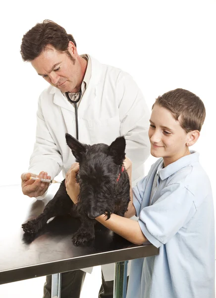 Veterinární lékař dává očkování — Stock fotografie