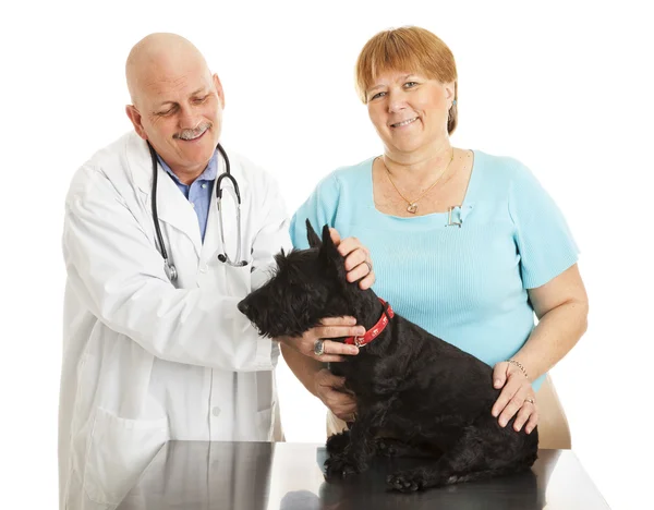 Ветеринар и счастливый владелец собаки — стоковое фото