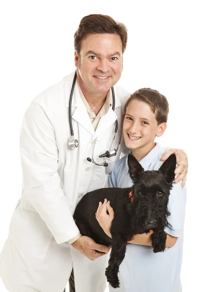 Ветеринар и пациенты — стоковое фото