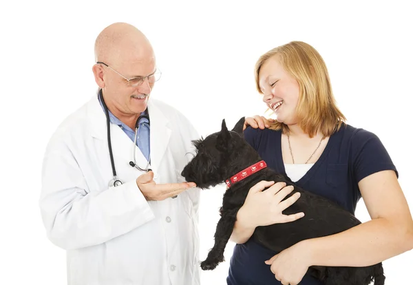Besuch beim Tierarzt — Stockfoto