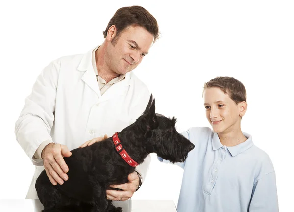 Visit to the Veterinarian — Stock Photo, Image