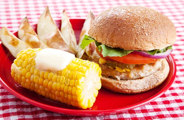 Friska picknick måltid — Stockfoto