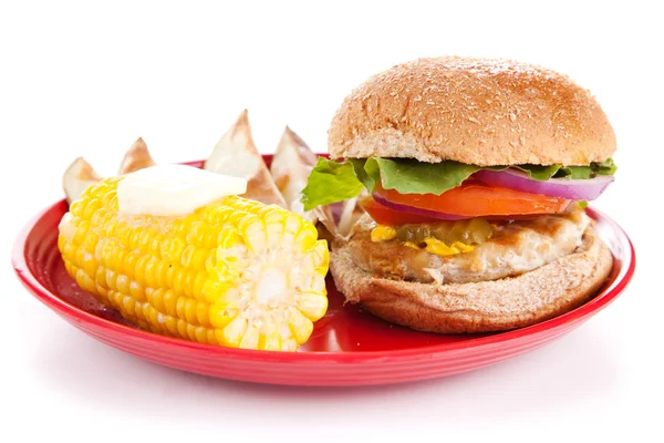 Pulyka burgert, fehér háttér — Stock Fotó