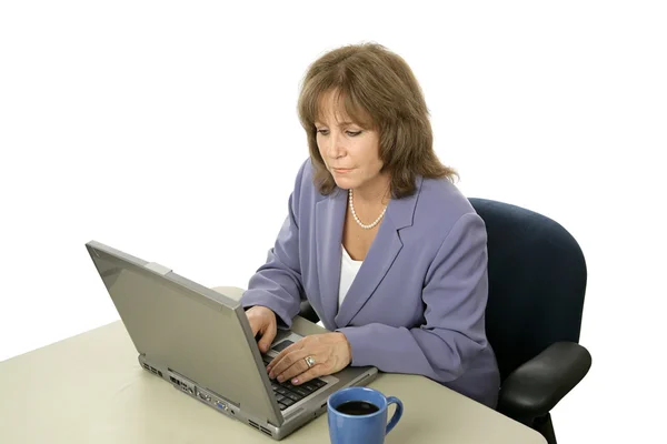 Vrouwelijke uitvoerend op computer Stockafbeelding