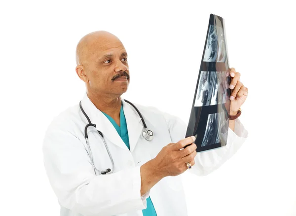 Доктор осматривает рентген — стоковое фото