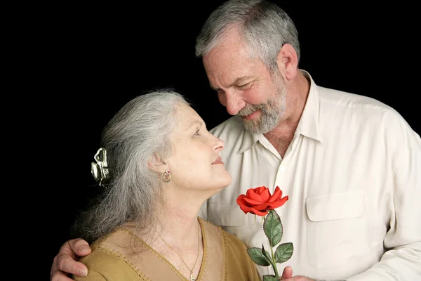 Růže pro svou ženu — Stock fotografie