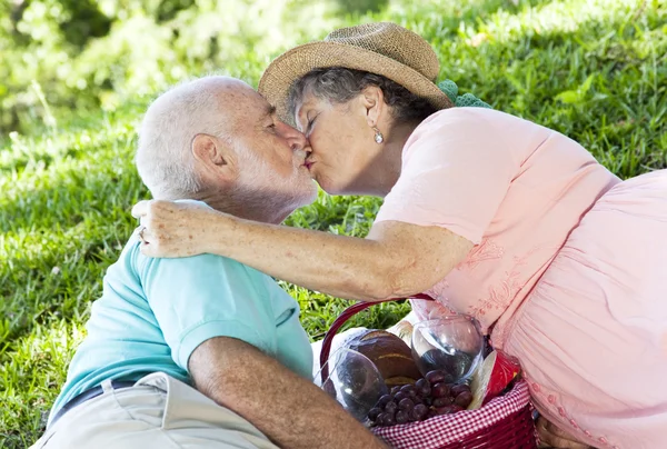 Piknik yaşlılar öpücük — Stok fotoğraf