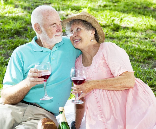 Picknick Senioren mit Wein — Stockfoto