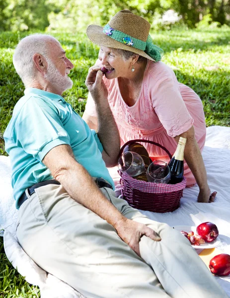 Romantyczne piknik seniorów - winogrona — Zdjęcie stockowe