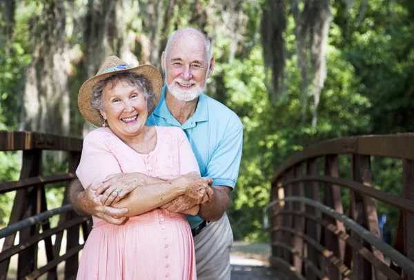 Ancianos románticos en el puente —  Fotos de Stock