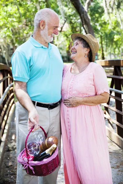 Piknik sepeti ile romantik yaşlılar — Stok fotoğraf