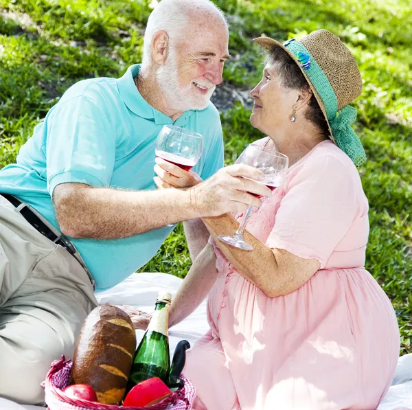 Romantisches Senioren-Picknick — Stockfoto