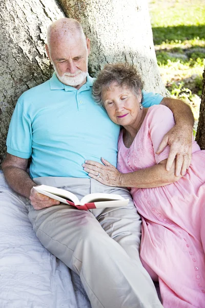 Casal sênior leitura juntos ao ar livre — Fotografia de Stock