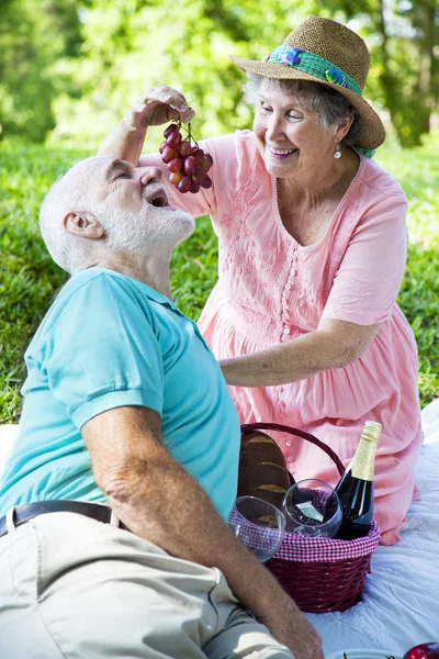 Senioren-Picknick - Romantik — Stockfoto