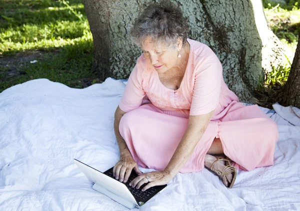 Dizüstü bilgisayar kullanan yaşlı kadın. — Stok fotoğraf