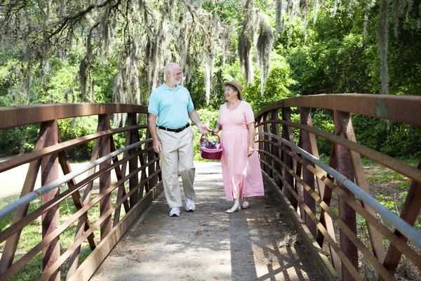 Seniorzy spacerując w parku — Zdjęcie stockowe