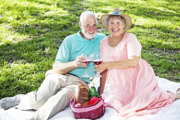 Senioren auf Picknickdecke — Stockfoto
